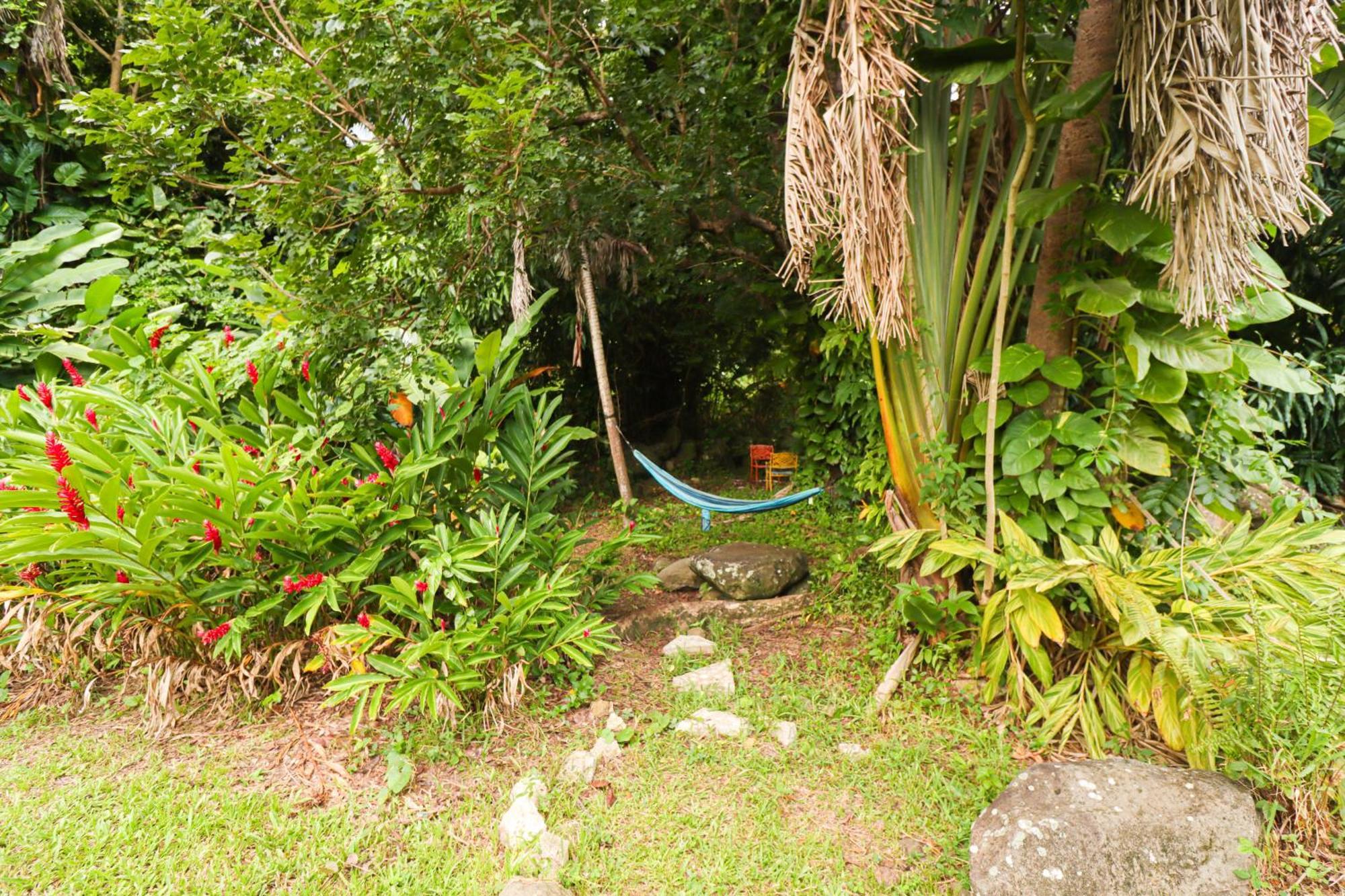 La Casa De Vida Natural Rio Grande Exterior photo