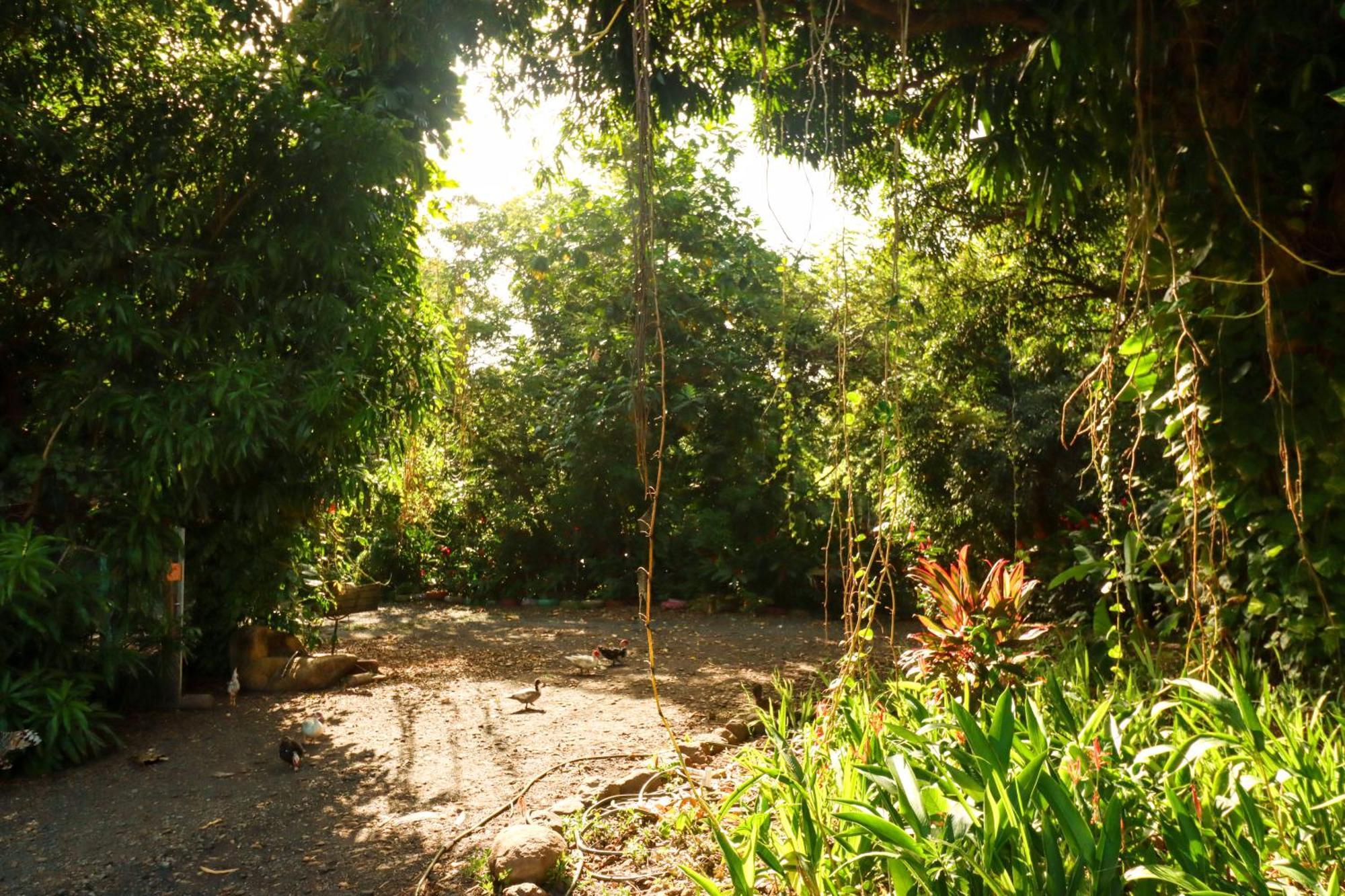 La Casa De Vida Natural Rio Grande Exterior photo